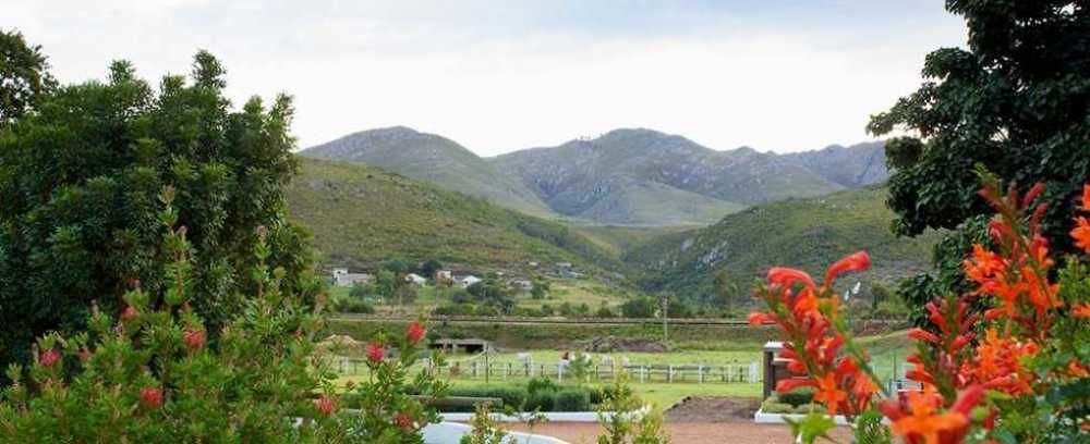 Assegaaibosch Country Lodge Kareedouw 외부 사진